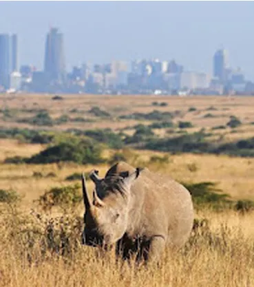 Nairobi National Park